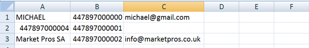 XLS file in a spreadsheet with contacts ready to be uploaded. XLS file in a spreadsheet with contacts ready to be uploaded.
